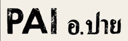 Pai Toronto  logo