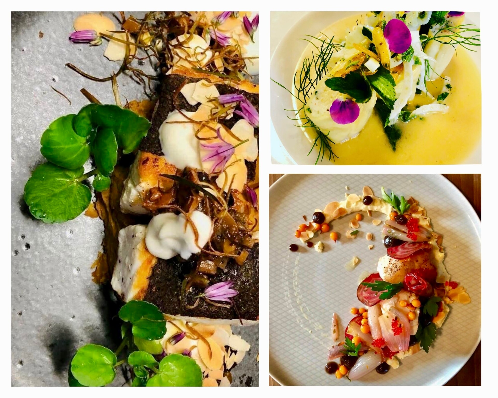 Chef de cuisine cover Chef de cuisine cover