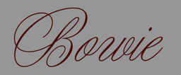 Restaurant Bowie Restaurant Bowie