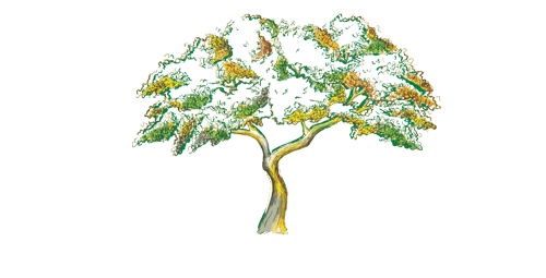 Jardin Nelson logo Jardin Nelson logo
