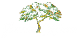 Jardin Nelson Jardin Nelson