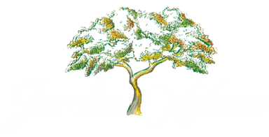 Jardin Nelson logo Jardin Nelson logo